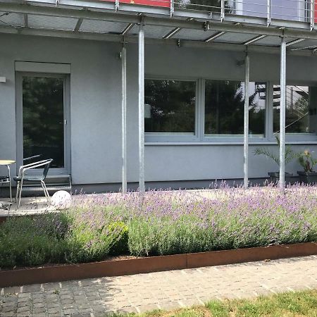 Wander- Und Aktivchalet Birkenfeld  Exteriör bild